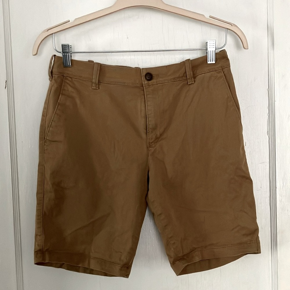 Express Men’s Shorts - Slim 9” inseam - 29” waist. Stretch. Good condition.